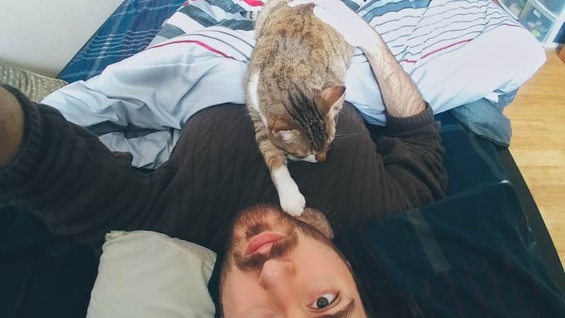 beau-saves-from-death-sleeping-bed