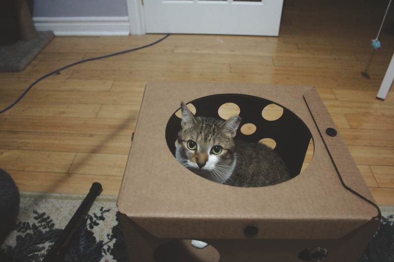 REVIEW: Boxes for Happiness (Phase 1)