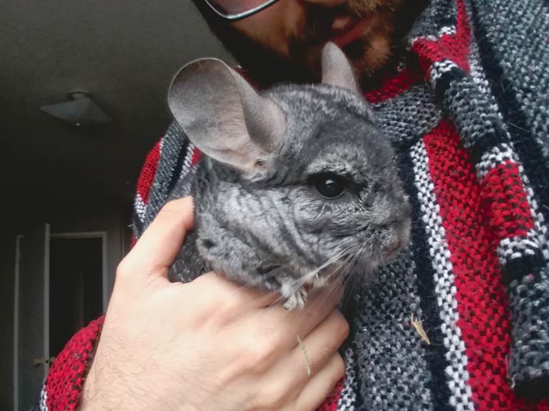 gary-being-held
