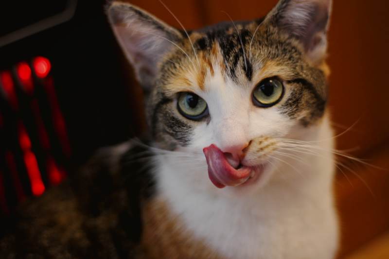 kalista-licking-lips-closeup