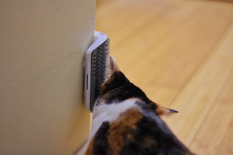 REVIEW: Catit Senses 2.0 Self Groomer Cat Toy