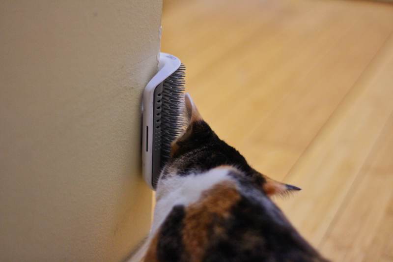 kalista-catit-self-groomer