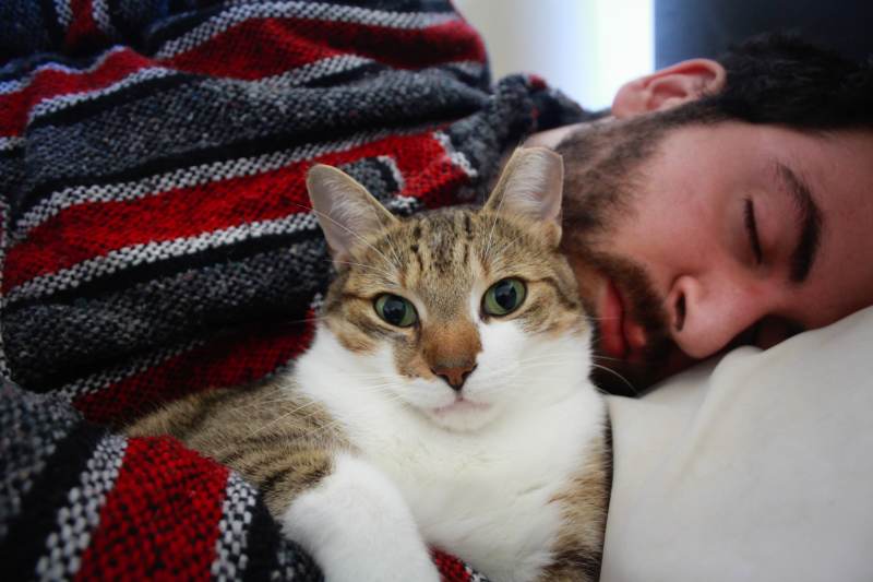 beau-cuddling-bed-me-johnny