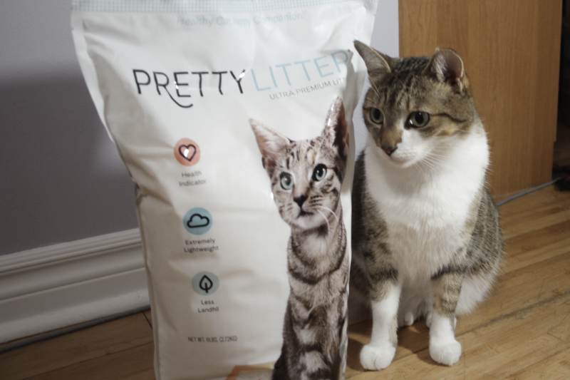 beau-with-pretty-litter-bag
