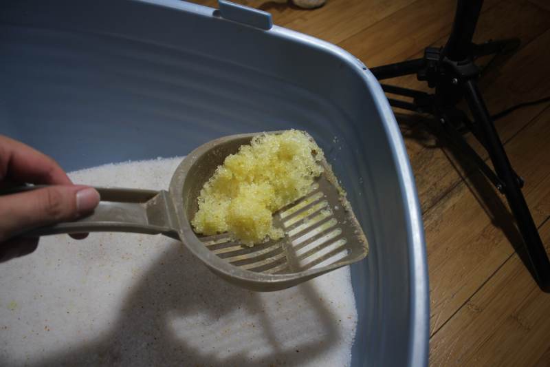 pretty-litter-being-scooped
