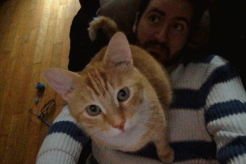 Stevie the Cat Cuddles For 10-Minutes (Cute Cat Video)