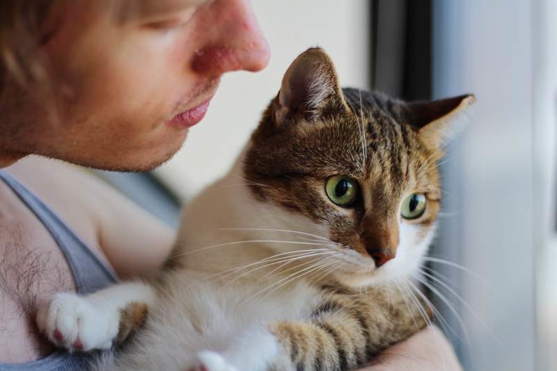 How to Give a Cat a Pill: 7 Vet-Approved Methods (Including One for Impossible Cats)