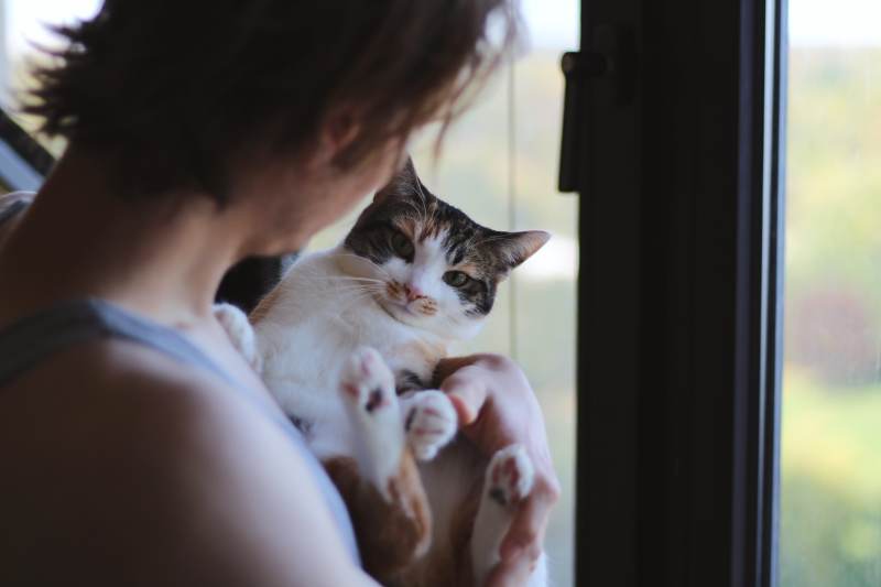 kalista-being-held-by-dad