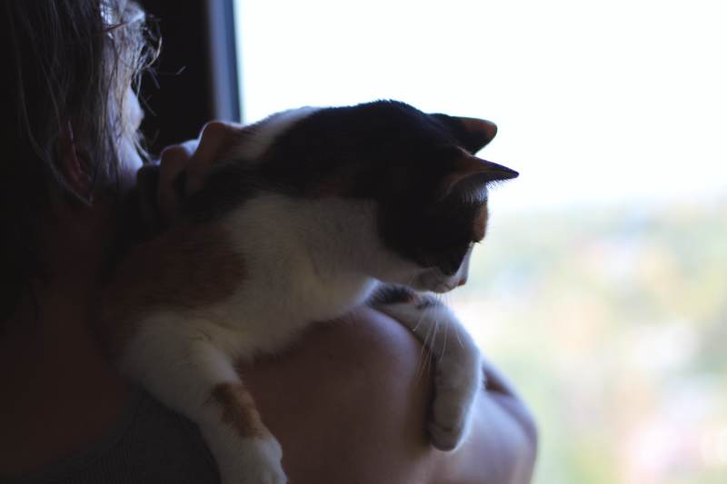 kalista-with-her-dad