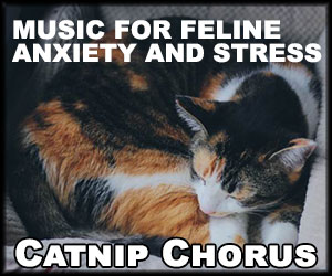 catnip-chorus-advertisment