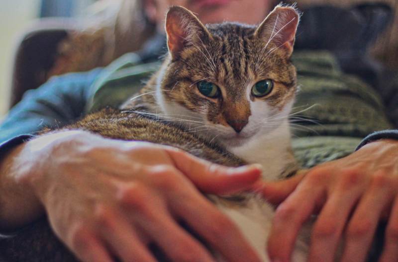 beau-sleeping-sitting-with-dad